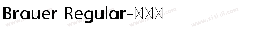Brauer Regular字体转换